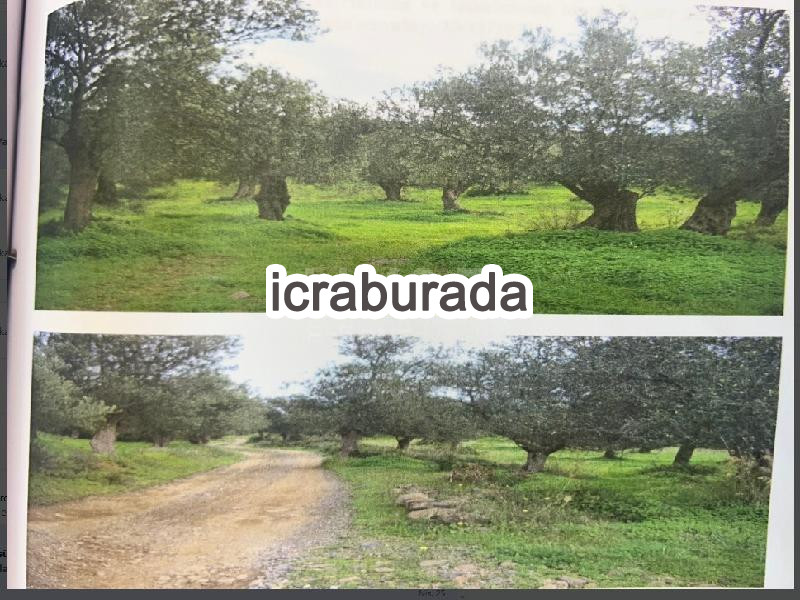 icralık  m2 Tarla Balıkesir Ayvalık Namikkemal