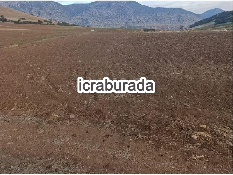 icralık  m2 Tarla Isparta Şarkikaraağaç Karayaka