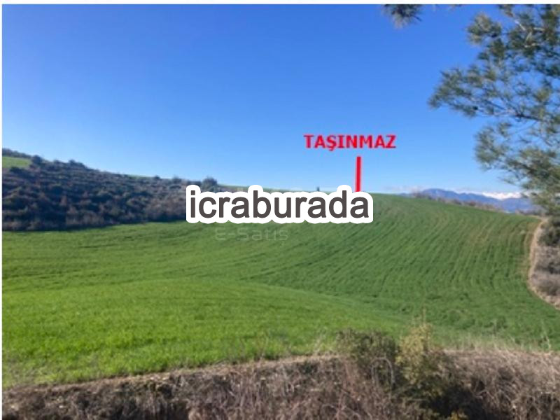 icralık  m2 Tarla Adana İmamoğlu Üçtepe
