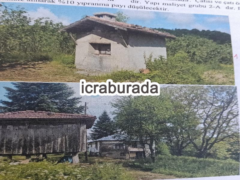 icralık  m2 Tarla Ordu Ünye Dereköy