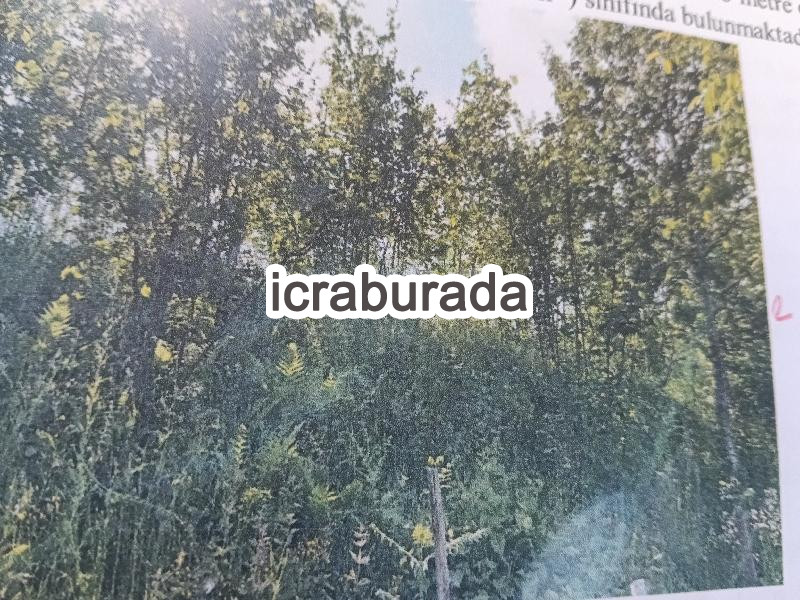 icralık  m2 Tarla Ordu Ünye Dereköy