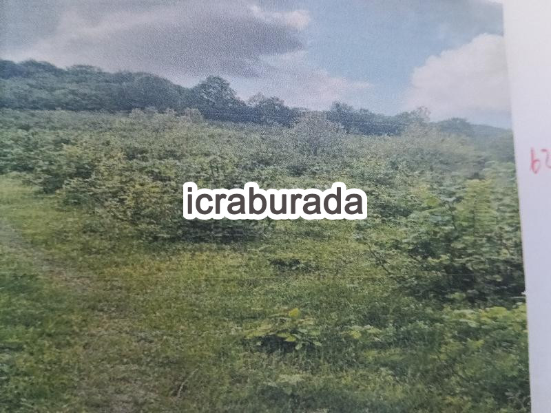 icralık  m2 Tarla Ordu Ünye Dereköy