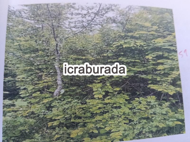 icralık  m2 Tarla Ordu Ünye Dereköy