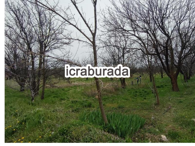 icralık  m2 Diger Afyonkarahisar Sultandağı Yeşilçiftlik/sira