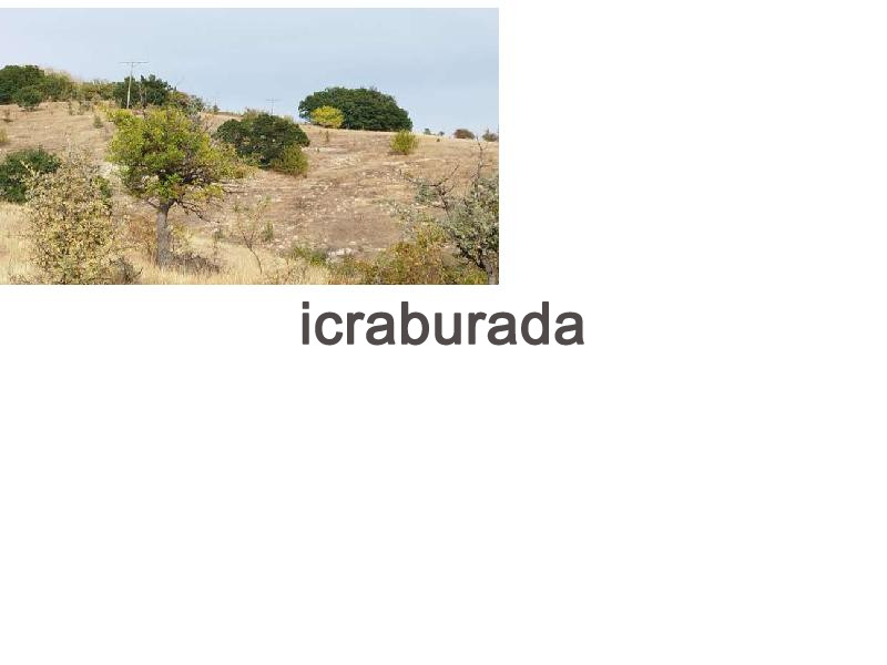 icralık  m2 Tarla Ankara Kızılcahamam Salin