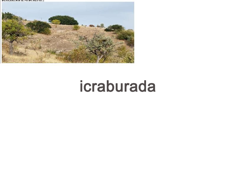 icralık  m2 Tarla Ankara Kızılcahamam Salin
