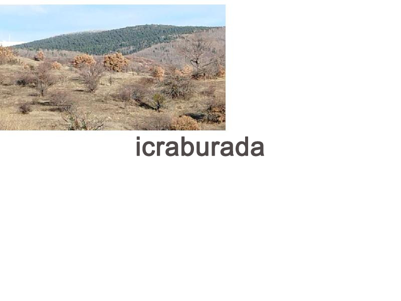 icralık  m2 Tarla Ankara Kızılcahamam Salin
