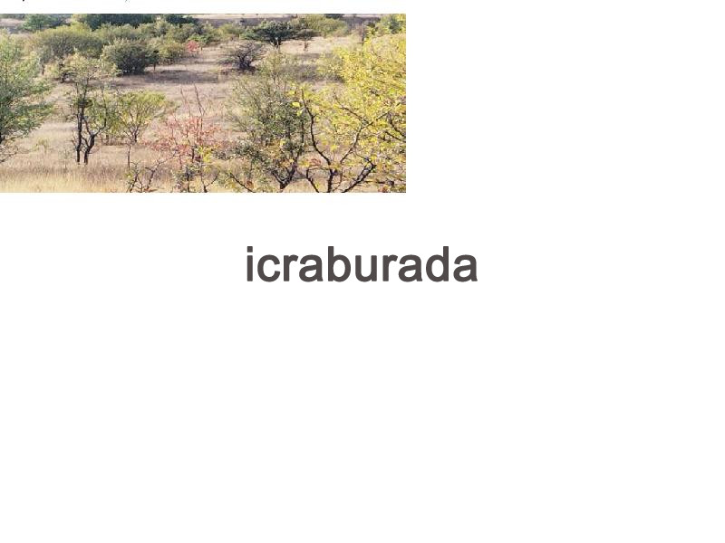 icralık  m2 Tarla Ankara Kızılcahamam Salin
