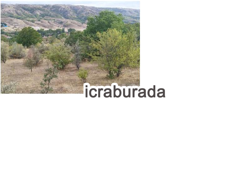 icralık  m2 Tarla Ankara Kızılcahamam Salin