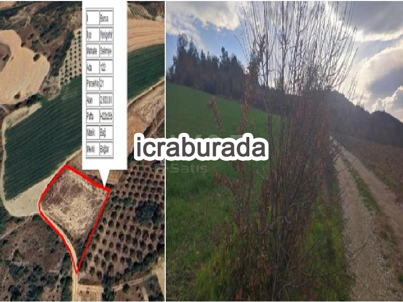 icralık  m2 Bag Bursa Yenişehir Selimiye