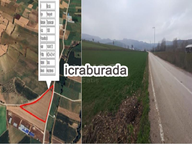 icralık  m2 Tarla Bursa Yenişehir Toprakocak