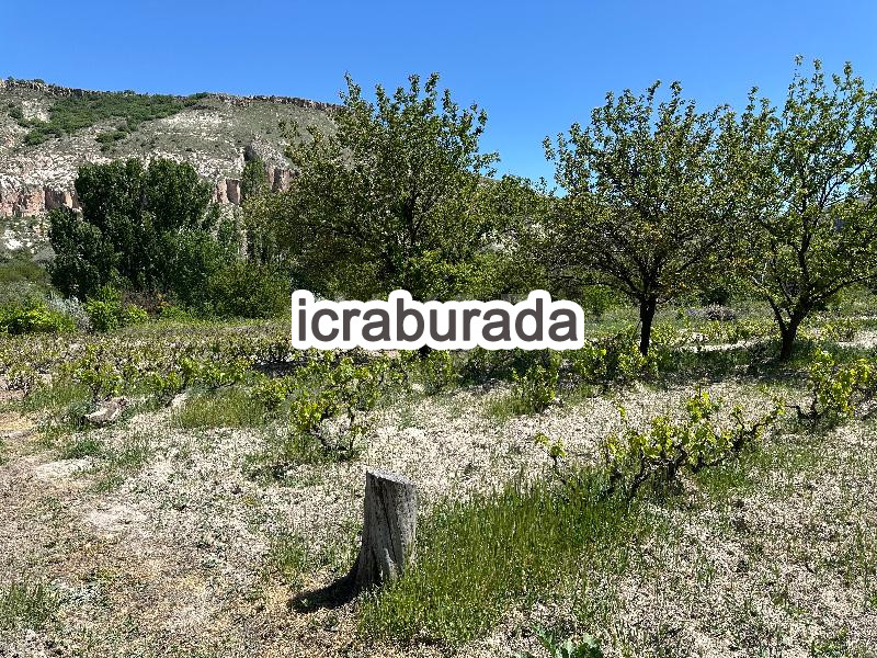 icralık  m2 Bag Nevşehir Ürgüp Karlik