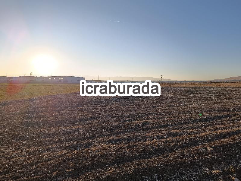 icralık  m2 Tarla Afyonkarahisar Merkez Sülümenli