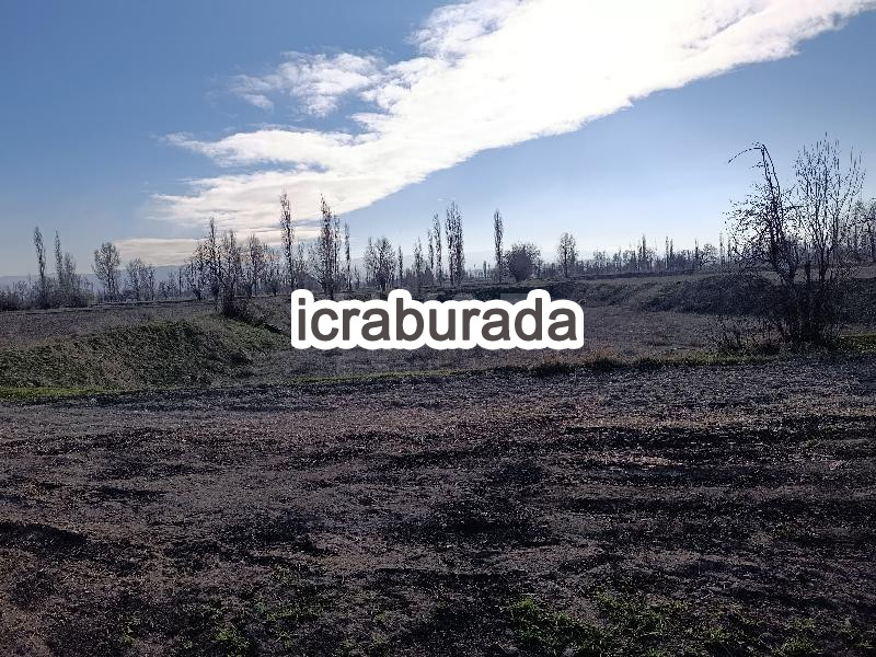 icralık  m2 Tarla Afyonkarahisar Merkez Sülümenli