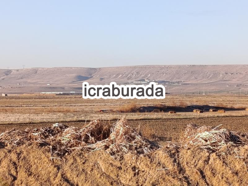 icralık  m2 Tarla Afyonkarahisar Merkez Sülümenli