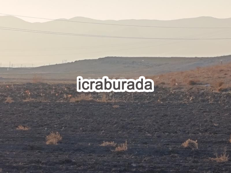 icralık  m2 Tarla Afyonkarahisar Merkez Sülümenli