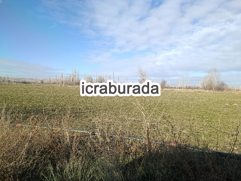 icralık  m2 Tarla Afyonkarahisar Merkez Sülümenli