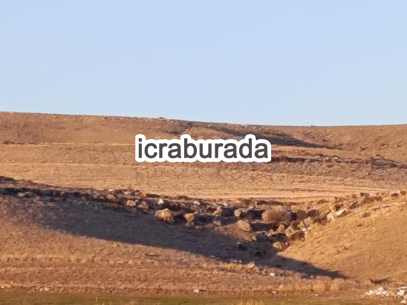 icralık  m2 Tarla Afyonkarahisar Merkez Çavdarli