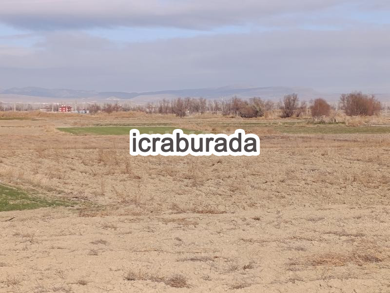 icralık  m2 Tarla Afyonkarahisar Merkez Sülümenli