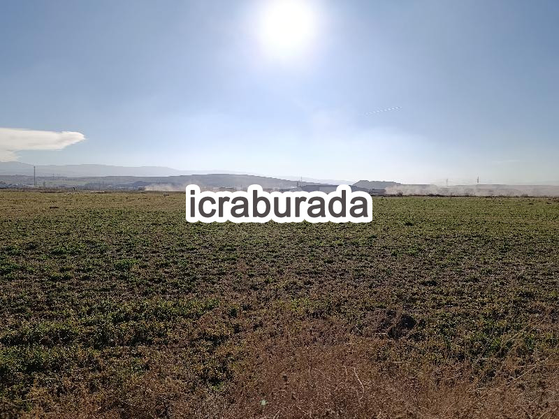icralık  m2 Tarla Afyonkarahisar Merkez Sülümenli