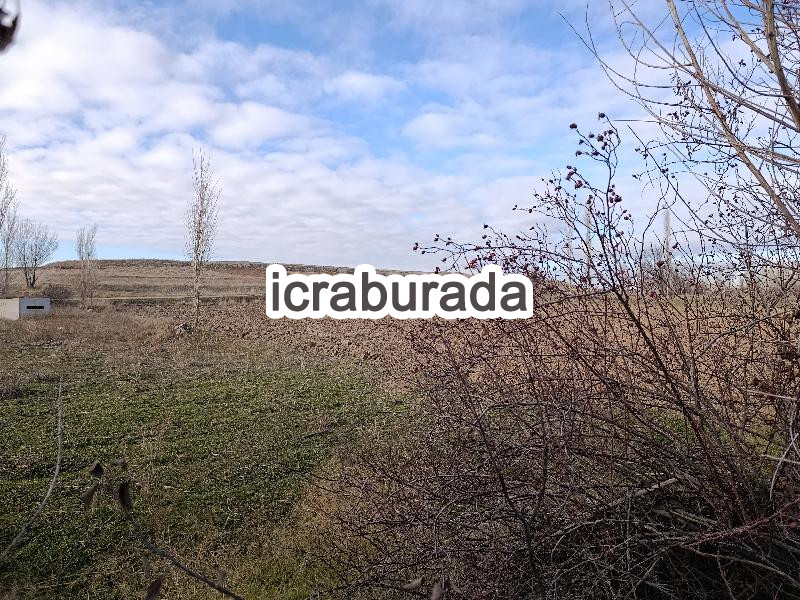 icralık  m2 Tarla Afyonkarahisar Merkez Sülümenli