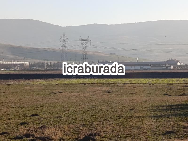 icralık  m2 Tarla Afyonkarahisar Merkez Sülümenli