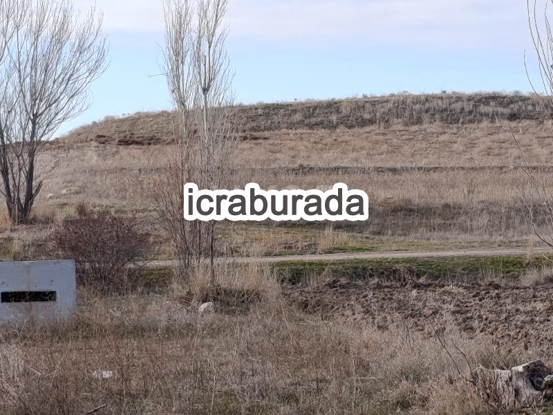 icralık  m2 Tarla Afyonkarahisar Merkez Sülümenli