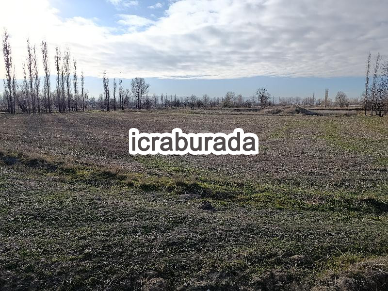 icralık  m2 Tarla Afyonkarahisar Merkez Sülümenli