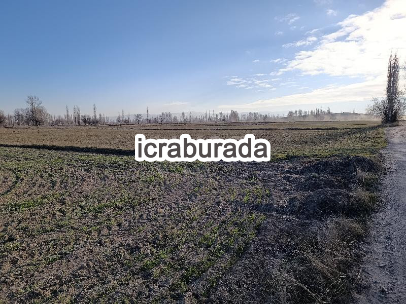 icralık  m2 Tarla Afyonkarahisar Merkez Sülümenli