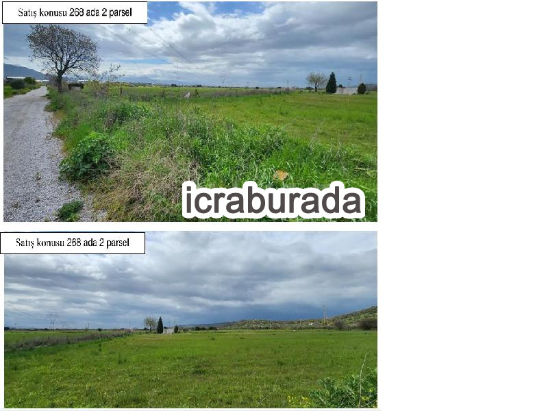 icralık  m2 Tarla İzmir Aliağa Helvaci