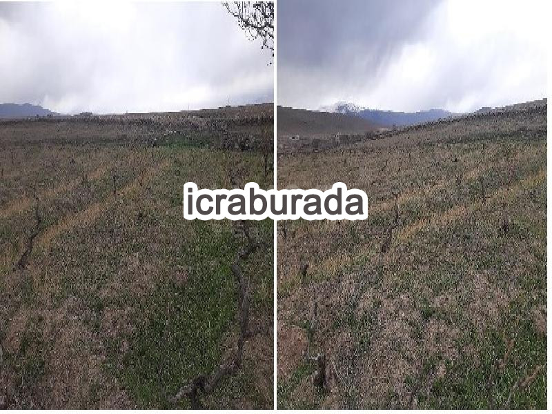 icralık  m2 Tarla Niğde Bor Okçu