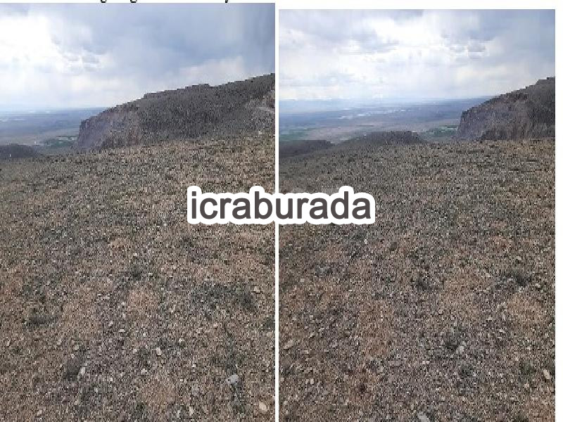 icralık  m2 Tarla Niğde Bor Okçu