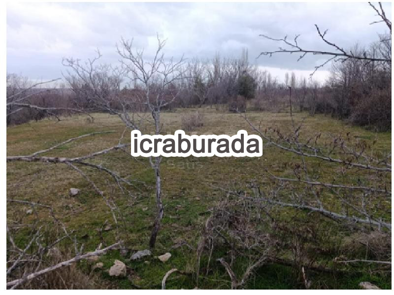 icralık  m2 Diger Isparta Eğirdir Bağören