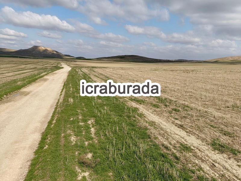 icralık  m2 Tarla Ankara Polatlı Bayburt