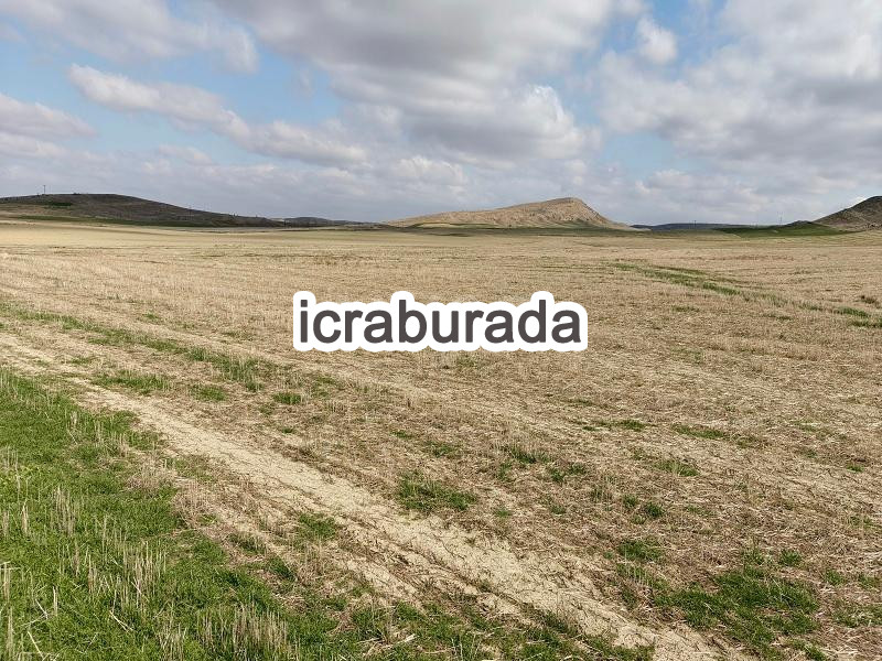icralık  m2 Tarla Ankara Polatlı Bayburt