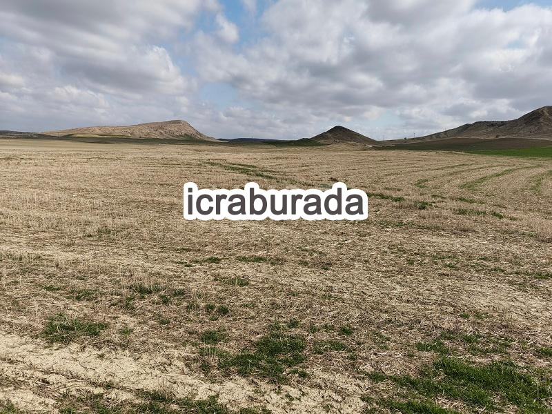 icralık  m2 Tarla Ankara Polatlı Bayburt