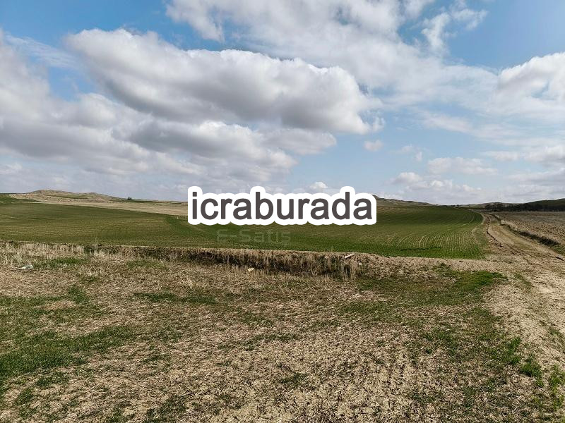 icralık  m2 Tarla Ankara Polatlı Bayburt