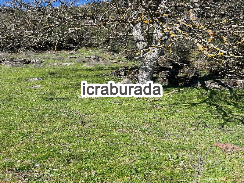 icralık  m2 Tarla Balıkesir Dursunbey Yukari Yağcilar