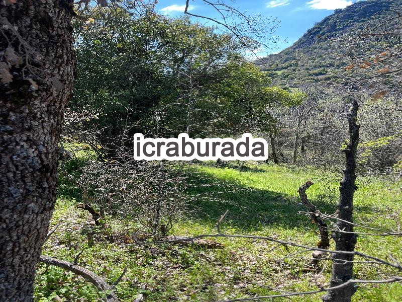 icralık  m2 Tarla Balıkesir Dursunbey Yukari Yağcilar