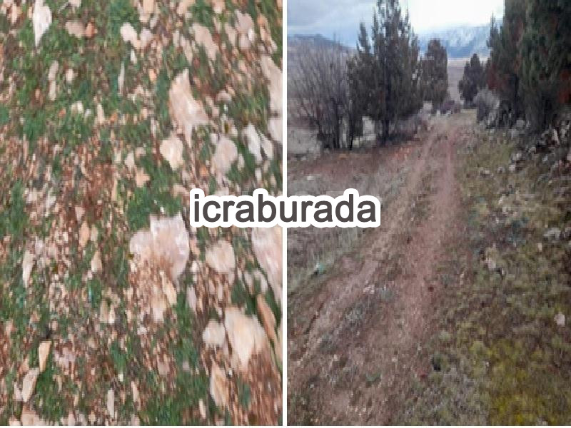 icralık  m2 Tarla Muğla Seydikemer Y.zorlar