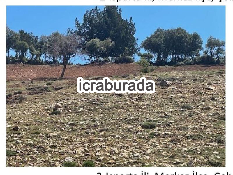 icralık  m2 Tarla Isparta Merkez Çobanisa
