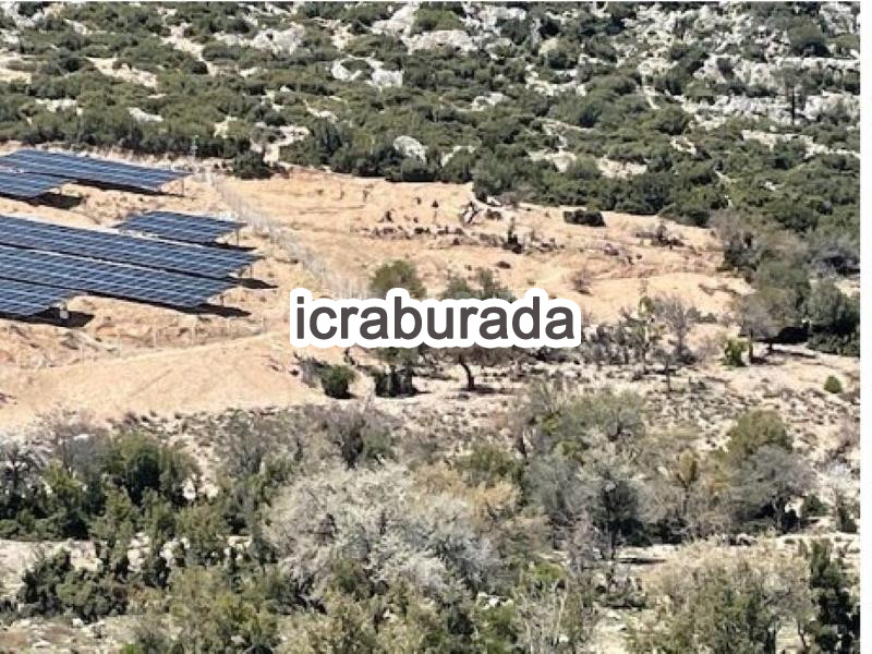 icralık  m2 Tarla Isparta Merkez Çobanisa