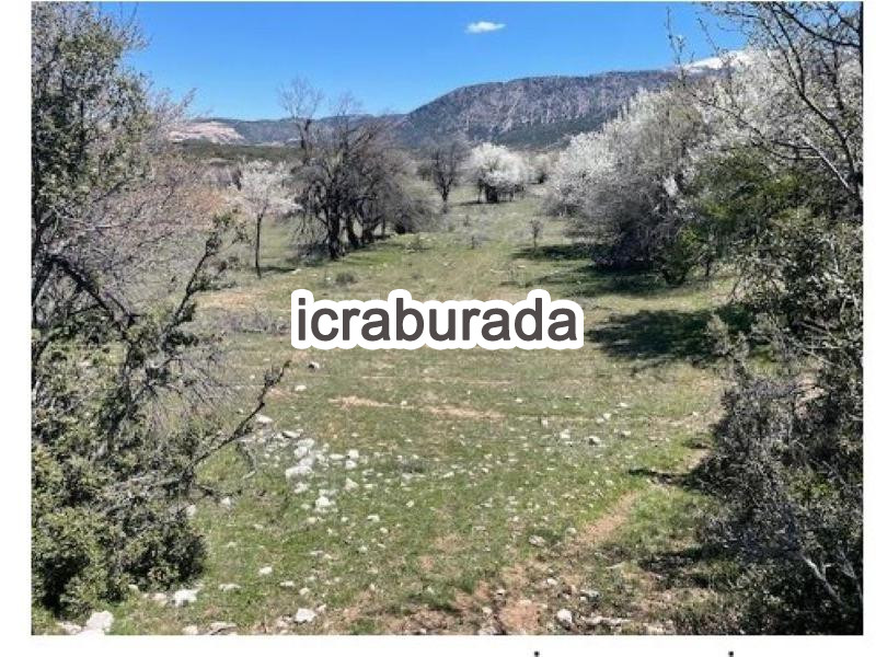 icralık  m2 Tarla Isparta Merkez Çobanisa
