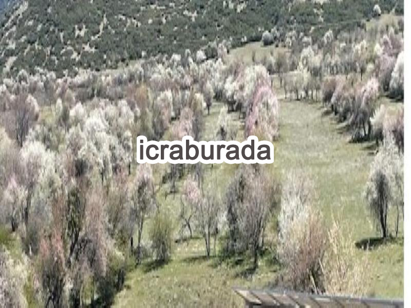 icralık  m2 Tarla Isparta Merkez Çobanisa
