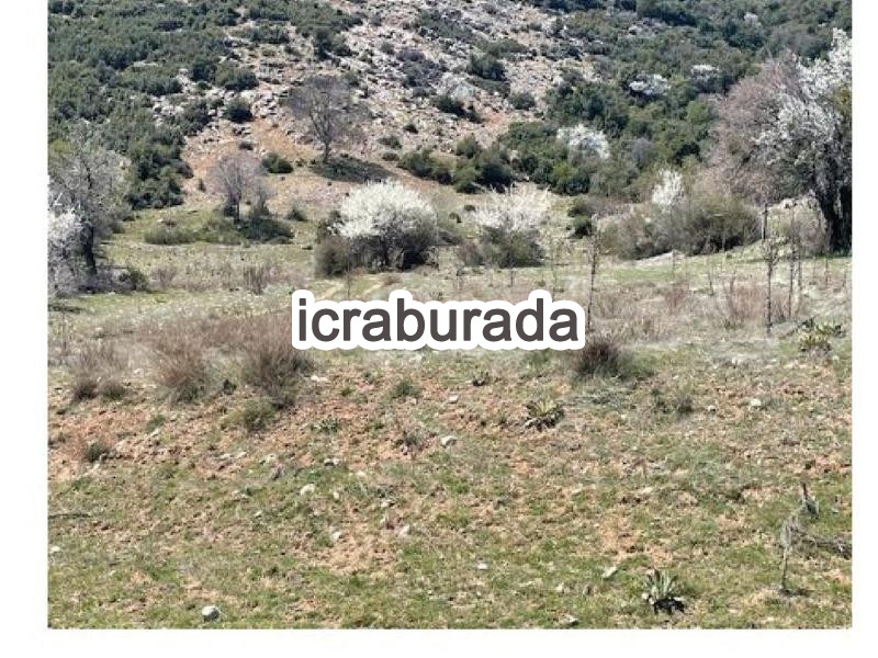icralık  m2 Tarla Isparta Merkez Çobanisa