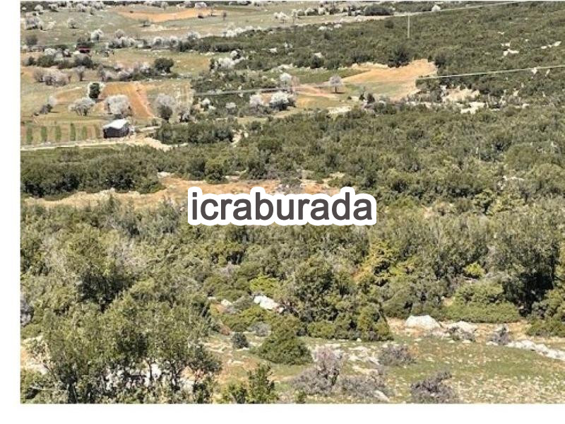 icralık  m2 Tarla Isparta Merkez Çobanisa