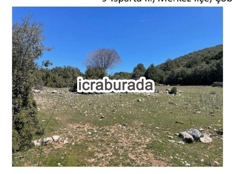 icralık  m2 Tarla Isparta Merkez Çobanisa