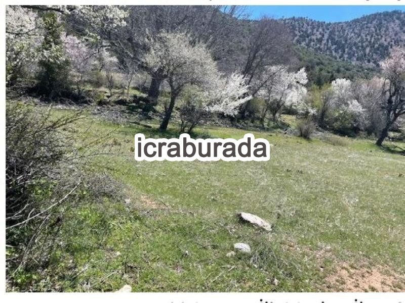 icralık  m2 Tarla Isparta Merkez Çobanisa