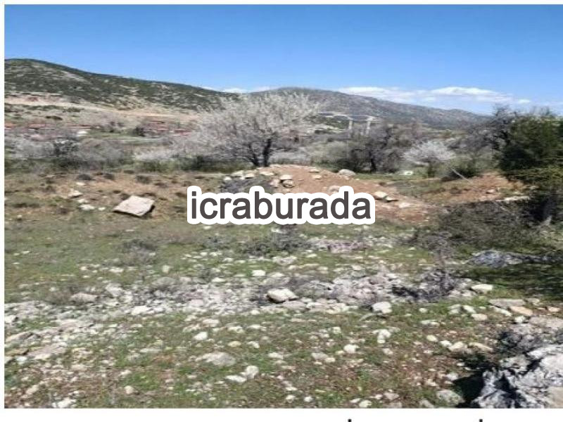 icralık  m2 Tarla Isparta Merkez Çobanisa