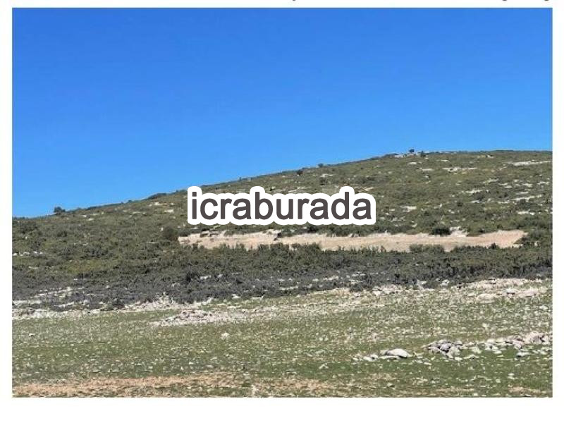icralık  m2 Tarla Isparta Merkez Çobanisa